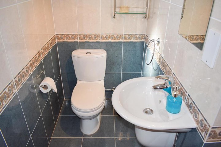 Protaras Two Bedroom Villa Charlotte toilette